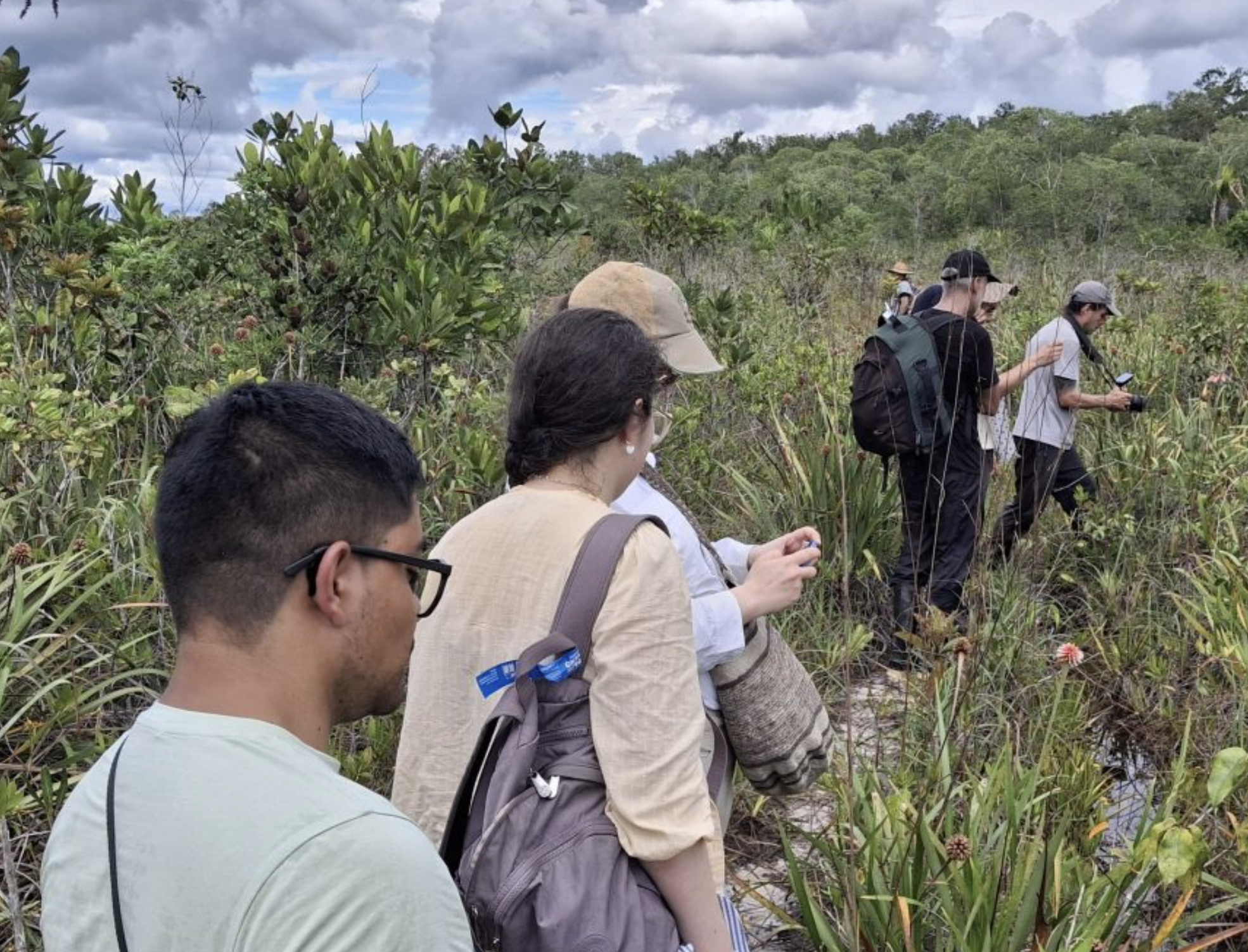 Más Arte Más Acción